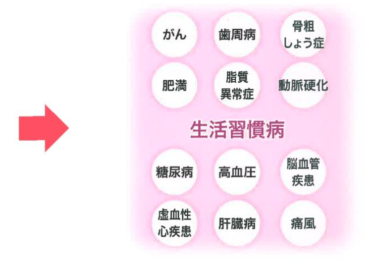 事業内容 株式会社コレクト